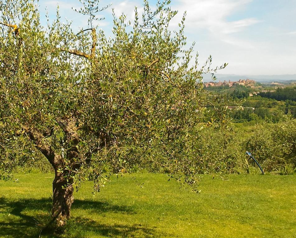 Capanna 1826 Villa San Gimignano Dış mekan fotoğraf